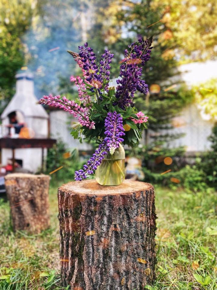 DIY krok po kroku ogród