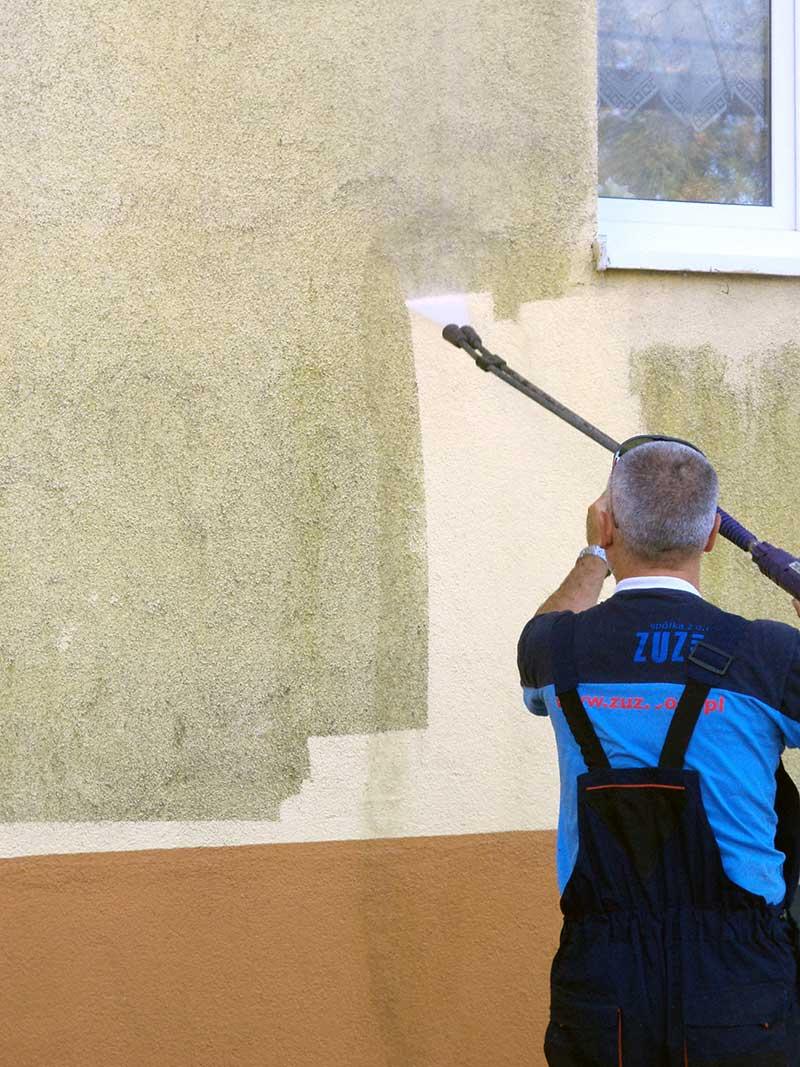 Naturalne środki czyszczące elewację