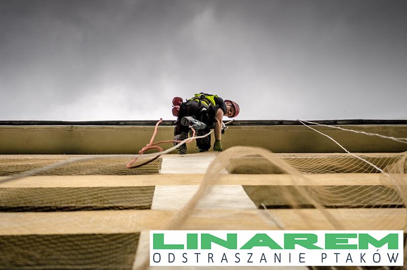 Trwałość elewacji a materiały