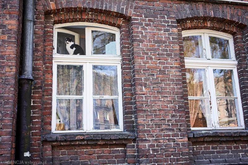 Kreatywne pomysły na wykorzystanie starych okien drewnianych w Twoim domu