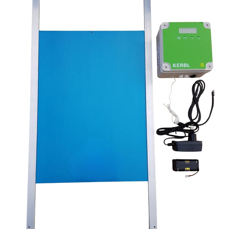 Bezpieczeństwo kur przed drapieżnikami