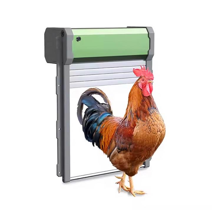 Prosty sposób na automatyczne drzwi do kurnika, które ułatwią życie Twoim kurkom