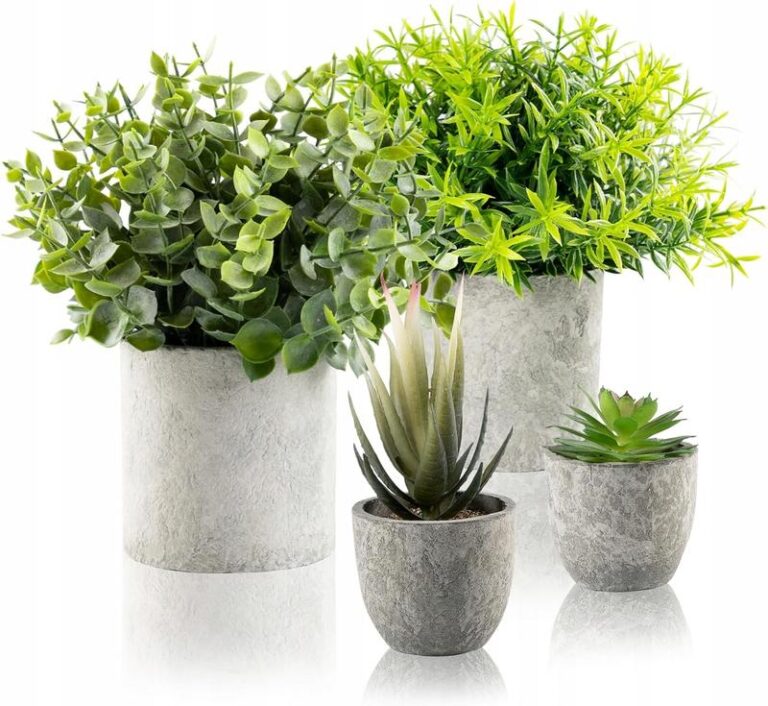 Rośliny do łazienki bez okna – jak zadbać o zieleń w trudnych warunkach?