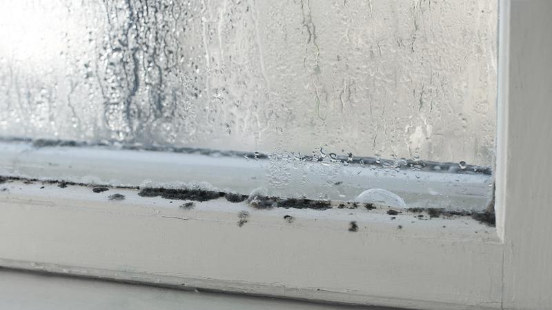 Wilgotność powietrza w domu