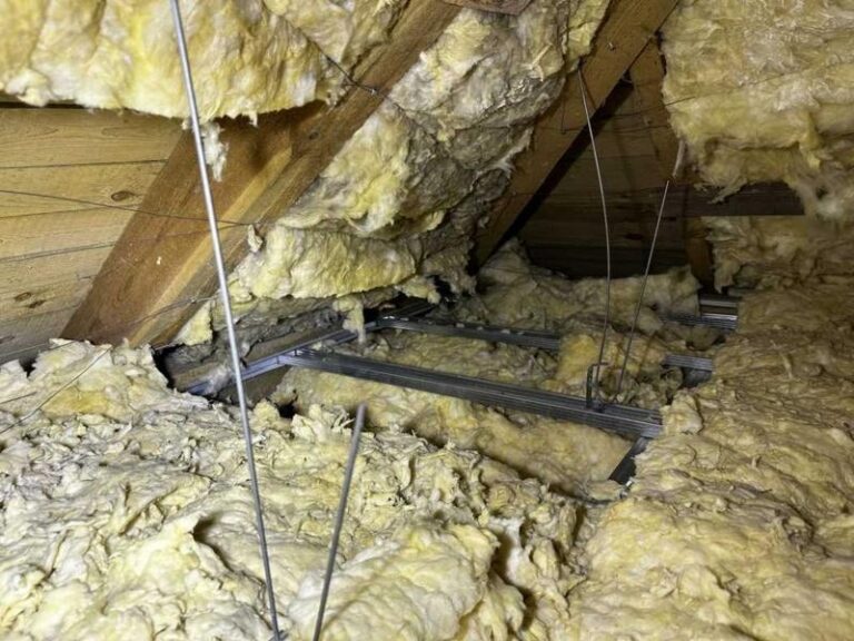 Jak pozbyć się kuny z poddasza: sprawdzone metody i praktyczne porady